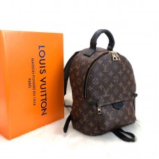 Louis Vuitton Palm Springs PM